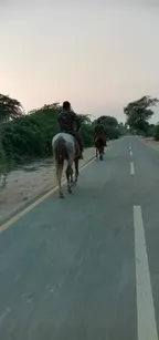 Is Horse Riding A Skill? thumbnail