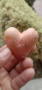 The Potato Heart!! thumbnail